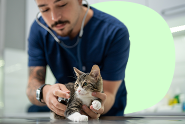 Bivett Centro veterinario contamos con el servicio de Laboratorio Clínico para Mascotas