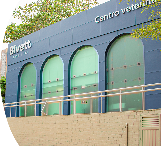 Bivett Centro Veterinario para el Bienestar Animal sede Castropol