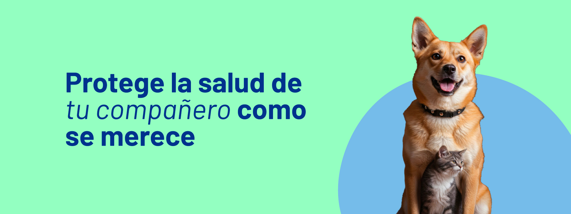 Seguro de salud para perros y gatos - SURA Mascotas